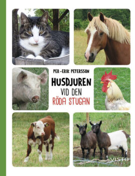 Husdjuren vid den röda stugan