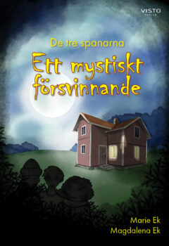 De tre spanarna - Ett mystiskt försvinnande
