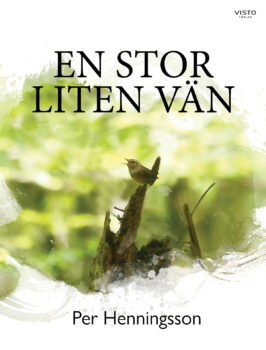 En stor liten vän